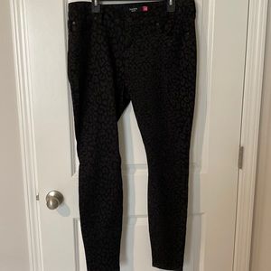 Torrid pants